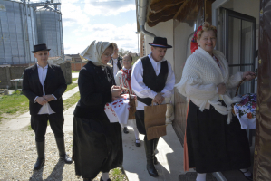  DSC7006