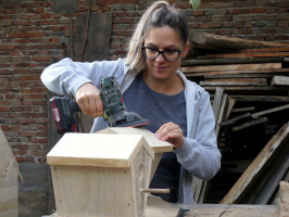 Kucica