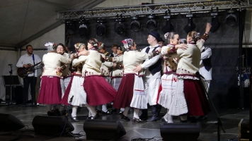 Lukovo kalinovac 4